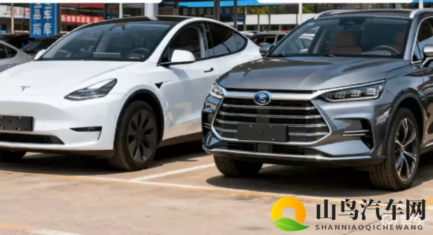 天天遭天天爱:汽车市场情感依赖:品牌忠诚度背后的秘密-2