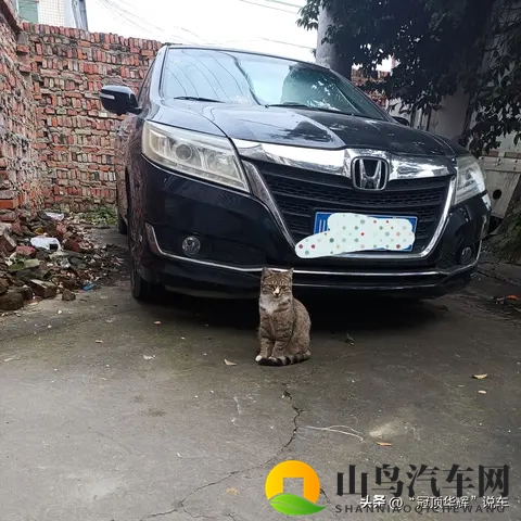 韩系车在中国卖不动了，全球却年销723万，这矛盾太真实-3