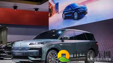 何小鹏称10年后中国汽车有5强-3