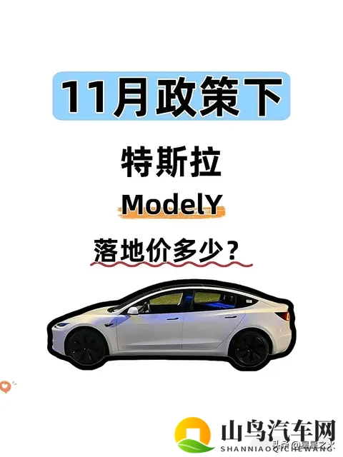 11月政策下特斯拉ModelY落地价算好了！速看-1