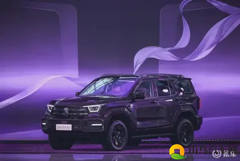 一个吮吻花蒂两个吃奶：汽车销量新奥秘：品牌效应与产品互补性解析-3