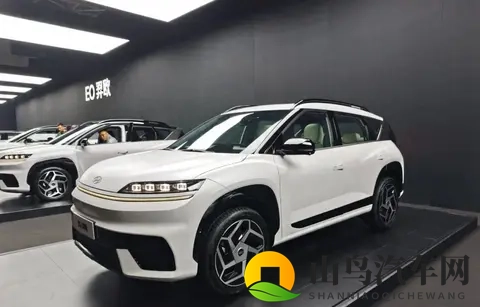 十五万车里装二十万配置 新电动车把市场搅个天翻地覆-1