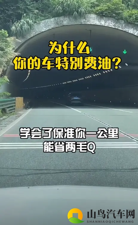巨爆乳肉感一区二区三区www2：激情爆乳肉感盛宴，分区体验不容错过-3