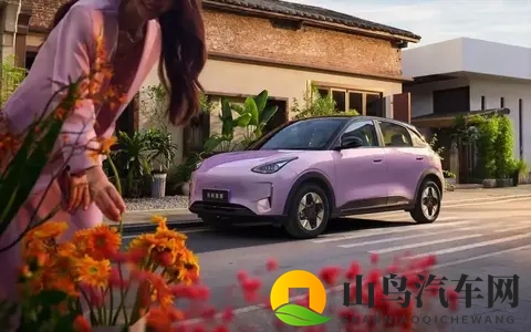 智能座舱+L2智驾，续航超600公里 10万内纯电买小车就选它-1