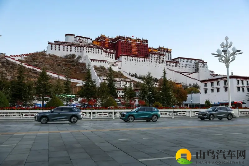 奇瑞第五代瑞虎8预售，智享中国新燃油SUV体验-1