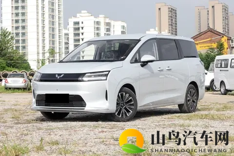 五菱星光730，11月上市！738万起带侧滑门，传祺M6慌吗？-3