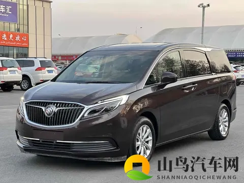 12万不到，宜商宜家的2017款别克GL8，家用也体面！-3