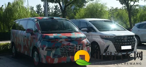 老师的兔子又大又圆:新能源汽车爆款来袭,绿色出行新潮流-2