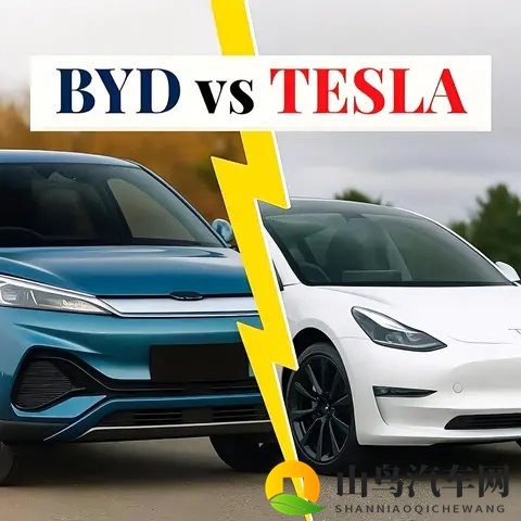 比亚迪与特斯拉:“规模王者”与“科技标杆”的对决”-2
