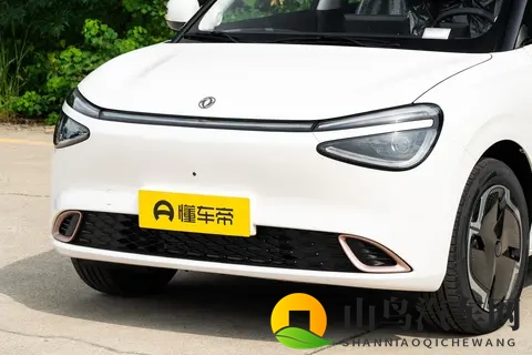 588万元起，新款东风纳米01上市！-1