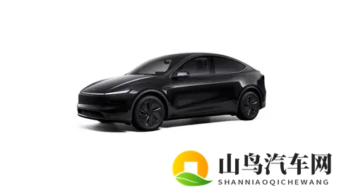 特斯拉Model Y长续航后驱版上市,821km续航,卖2885万元,值不值-2