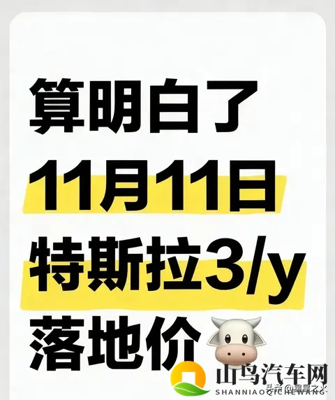 11月特斯拉各地补贴落地!全系汇总💥-1