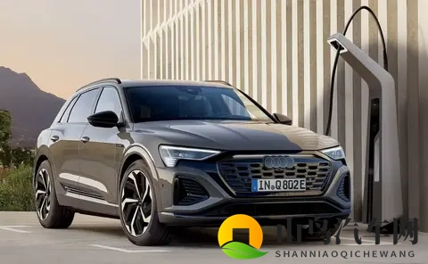 Q8 E-Tron阵亡后的“答卷”：奥迪2026的现实与无奈-2