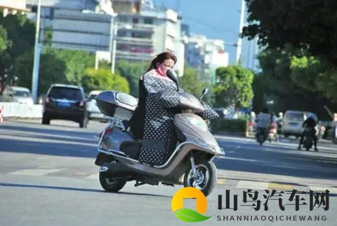 中国电动车的世界奇迹：廉价革命背后的双刃剑-3