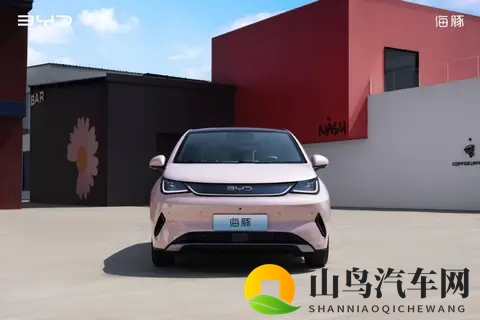 10万级，高阶智驾+冰箱，颜值还很高｜海豚如何选？-2