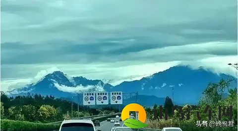 燃油车补贴突然回归，禁燃政策打脸了？官方数据藏着大秘密-2