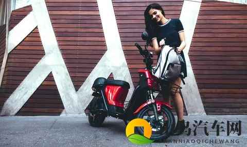 编译：2025 欧洲电动车市场、中国制造继续处于主导地位-2