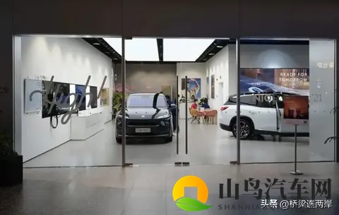 中国车欧洲斩获74%份额，为何德国市场仅29%？-3