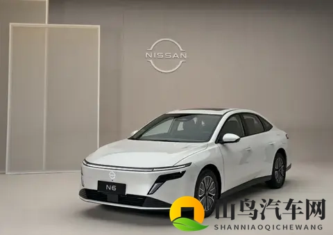 日产N6售价有望不足10万元？网友：必定大卖-3