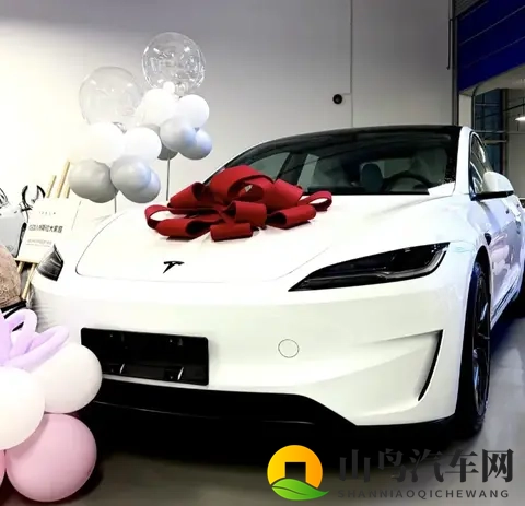 特斯拉黑标Model 3 Performance正式交付，保留专属徽章，更帅了-3