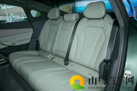 纯电轿车新选择：2025 款星纪元 ES 纯电版 Max 城区辅助驾驶深度体验-1