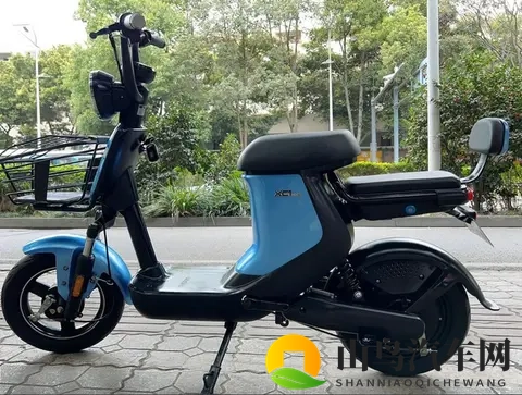 12月1日后，零公里二手电动车来袭：是捡漏还是踩坑？-2