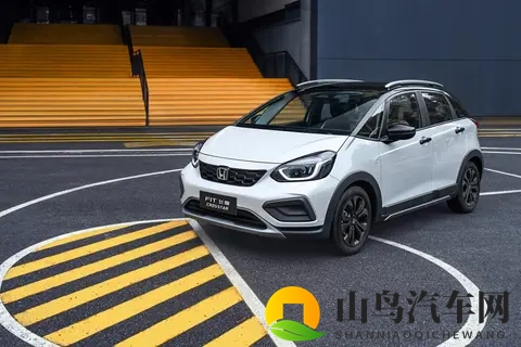 市场很热闹，用户更务实！如何看待争议之下的“飞度现象”-1