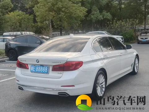 十年宝马五系，10万公里，18万不到，商务代步性价比之选-3