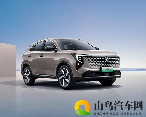 lutube成人:汽车革命:新趋势与科技碰撞-2