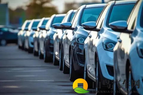 车企倒了，车却火了！年轻人抢 “烂尾车” 背后-2