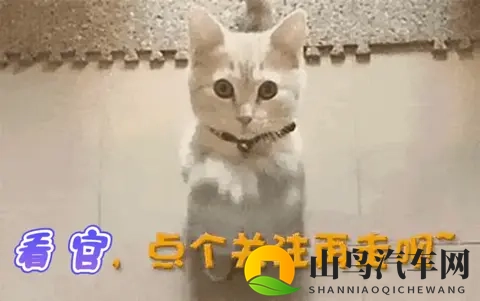 男人和女人差差差的APP：男女差异大揭秘，这款APP太实用-2