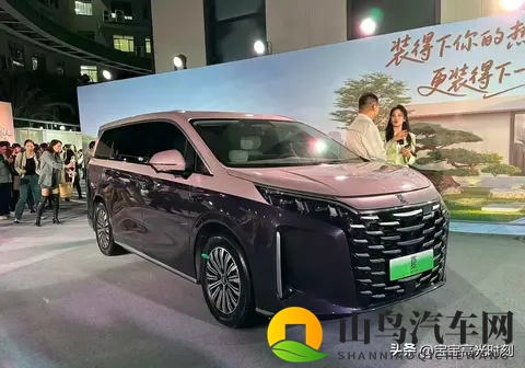 比亚迪地板价背后：车市地震里的得失与纠结-2