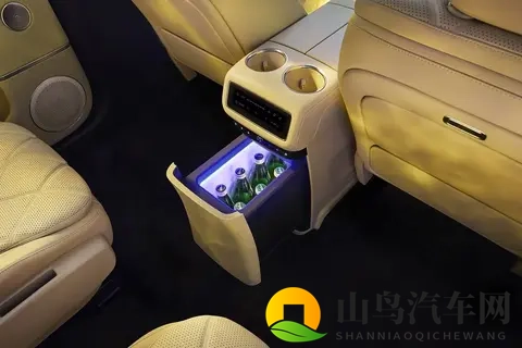 家用六座SUV!风云T11哪款值得买?推荐220后驱双IMAX影院版-1