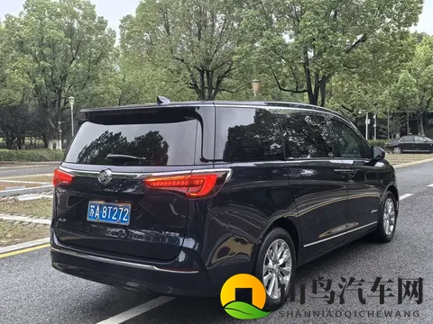 24万拿下二手别克GL8Avenir，豪华MPV商务家用皆宜-1