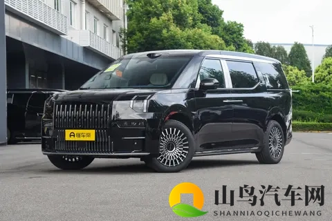 极氪 009 双 11 限时惠，多座豪华，承包家人舒心出行-3