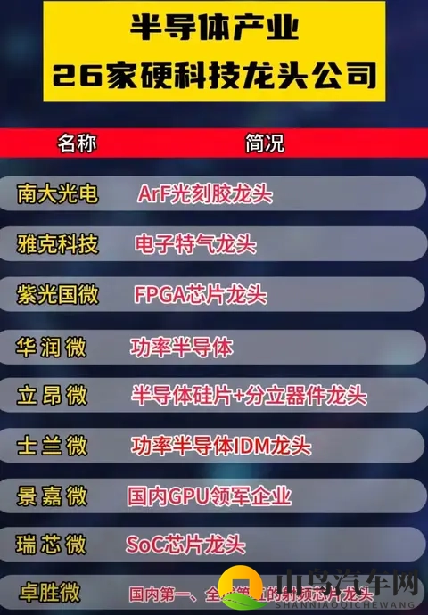 荷兰断供芯片反遭打脸，德国车企集体转向中国！-1