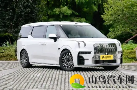 800V快充+双腔空悬+CCD減振,极氪009七座过道版可商可家超实用-1