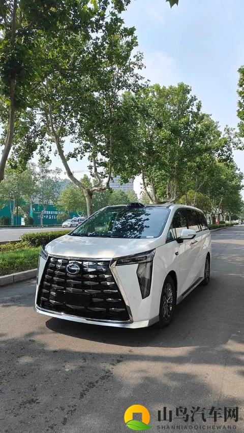 放弃埃尔法,选择传祺M8宗师,是我今年最明智的决定!-1