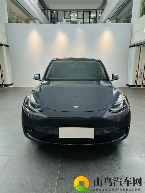 三年亏十几万，代步通勤真香？二手特斯拉Model Y抄底价！-2