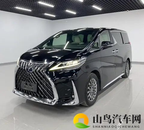 丰田埃尔法_雷克萨斯LM，到底是谁在买？-2