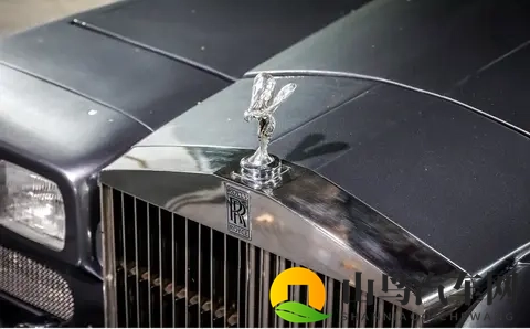 🇬🇧 “野兽”的传奇：270升V12引擎驱动的英国公路怪胎-3