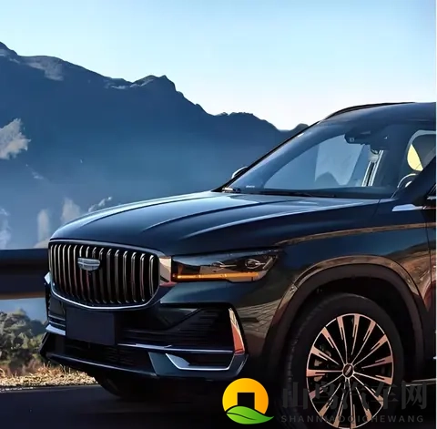 2025年SUV销量榜出炉!Model Y稳坐第一,这两款车竟成黑马-1