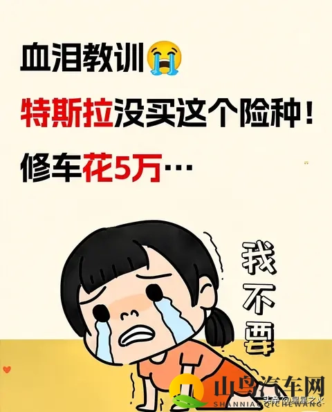 特斯拉车主血泪教训！漏买1个险，修车自费5万-1