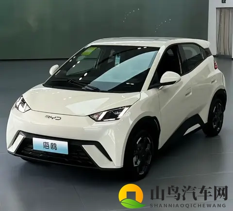 海鸥真实口碑：优点夸到停，缺点吐槽声从没断-2