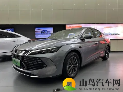 理性消费该被取笑吗?10万块买秦L DM-i就是把钱花对了-2