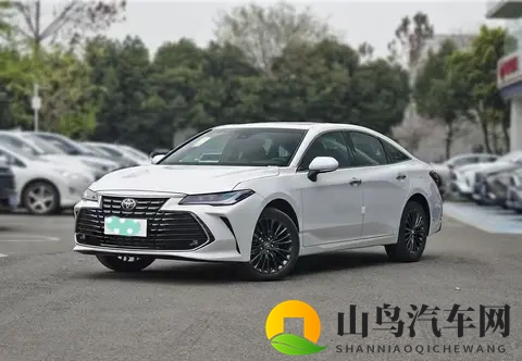 亚洲龙混动过保后咋样车主说电池管够用到烂大街-2