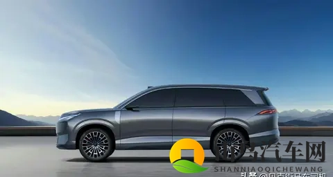 8x8x海外华人：海外购车新趋势，新能源汽车受青睐-3