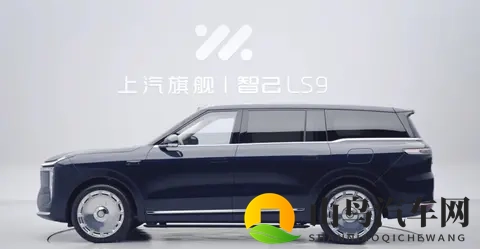 上汽旗舰智己LS9到店,销售直言光是维持秩序就已拼尽全力-3