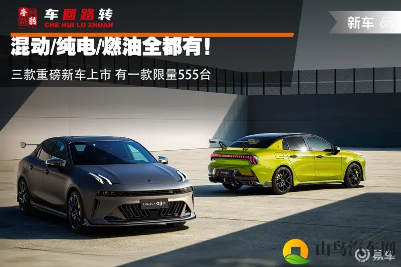 混动_纯电_燃油全都有！三款新车上市 有一款限量555台-1