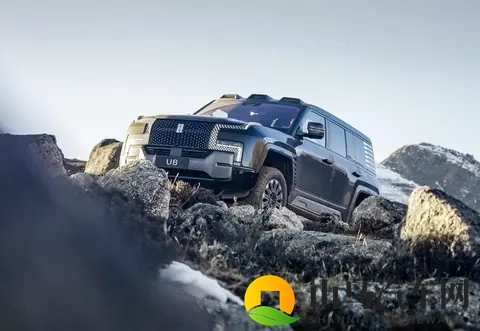 丢掉中国第一！比亚迪疲态显现、快装不下去了？-1